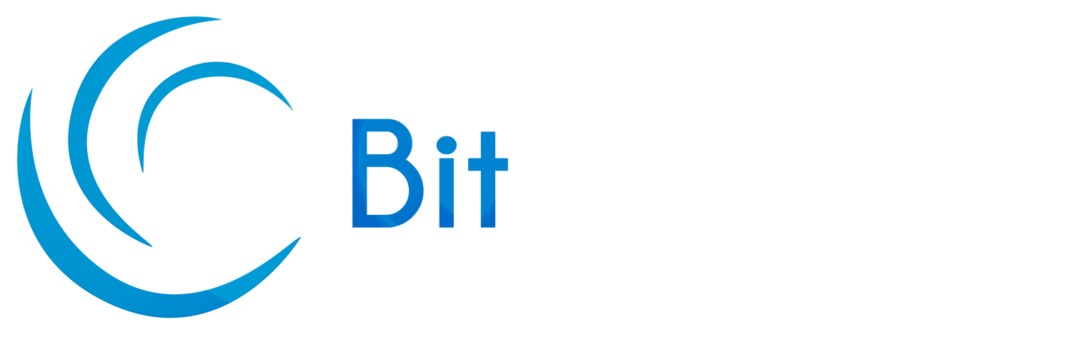 BitCreations : Business in Technology